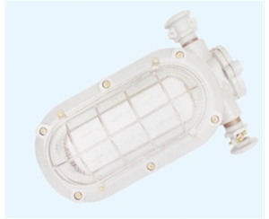 宁波矿用隔爆型LED支架灯